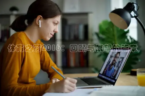 飞速体育app官方入口